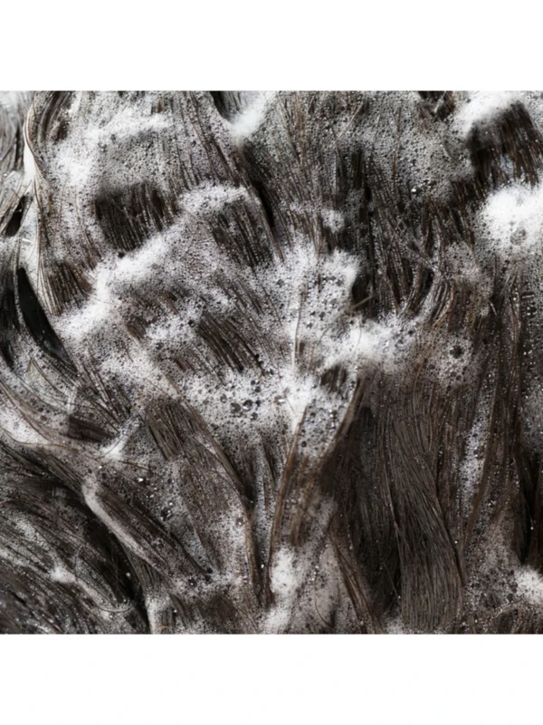 Aplicación del Oribe Signature Shampoo sobre el cabello durante la limpieza